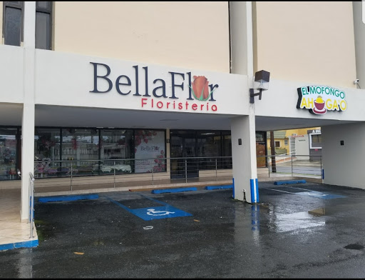 Bella Flor