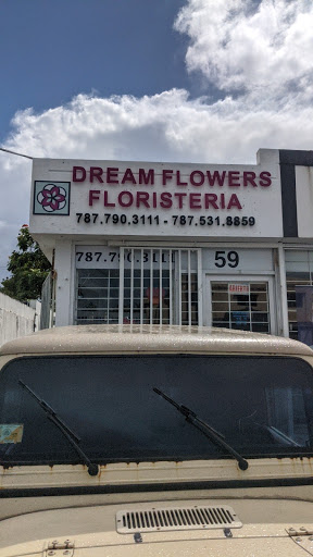 Florería Dream Flowers Floristería