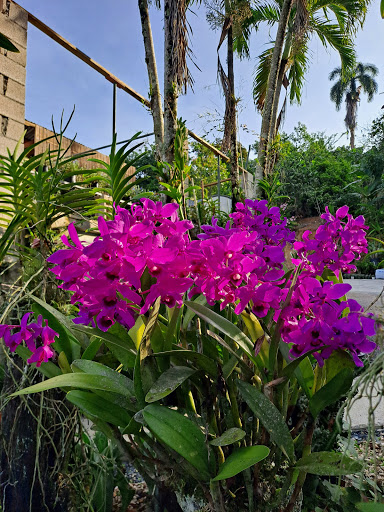 Florería Jardín Flora