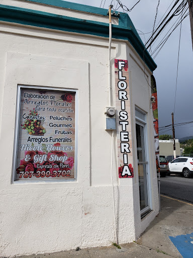 Florería Nicole Flowers And Gift Shop