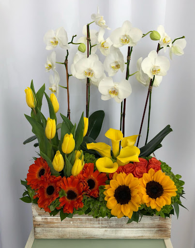Florería Zuazo Floral